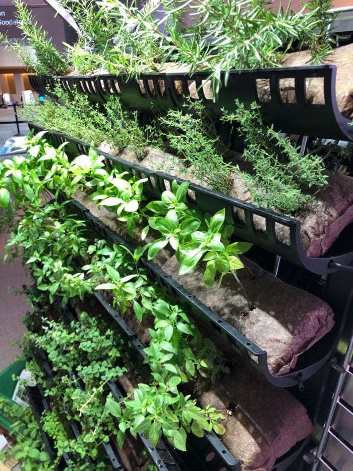 Filled Ellepot Pouches for Vertical Gardens (12 ct) - Image 11