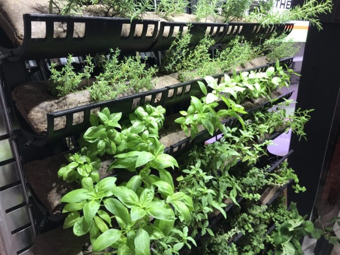 Varden Vertical Farm 264 - Image 10