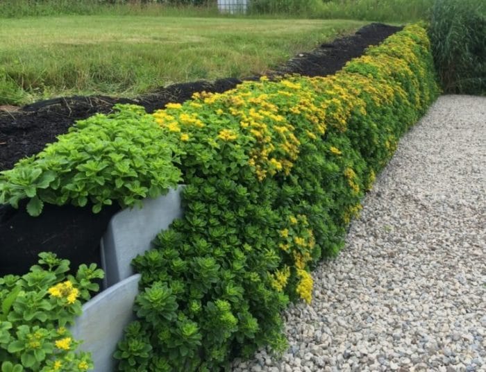 Varden Living Retaining Wall Blocks(100 ct) - Image 6