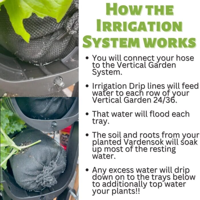 Varden Kitchen Gardens - Image 8