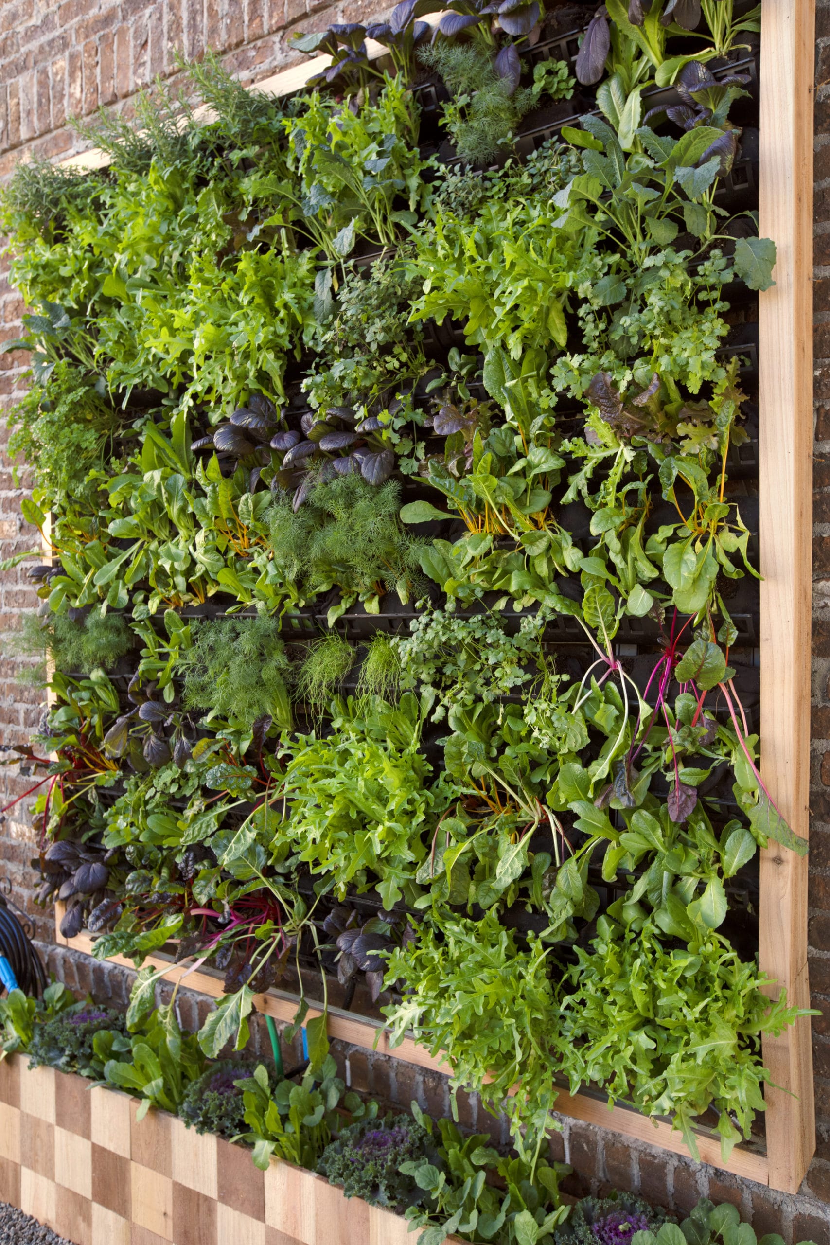 Bigger vertical garden on garage