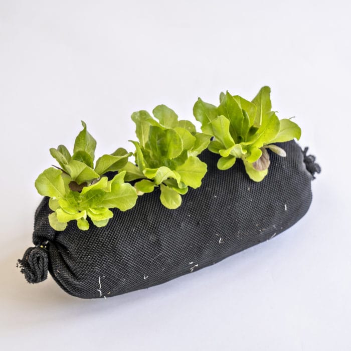 Soil Filled Vardensok for Vertical Gardens (12 ct) - Image 3