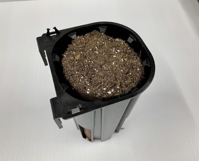 Filled Ellepots for Varden Sleeve(12 ct.) - Image 3