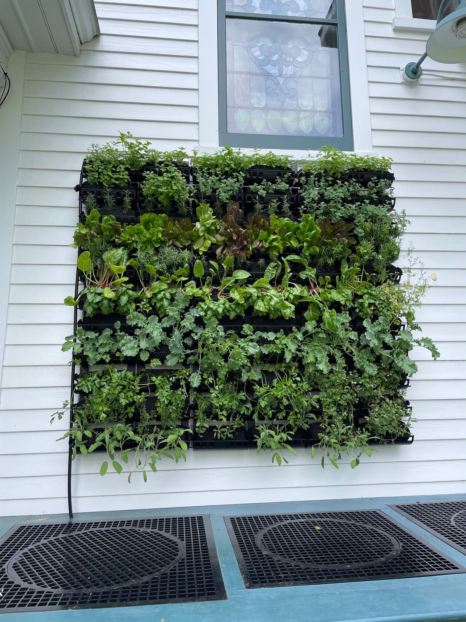 Side porch vertical garden