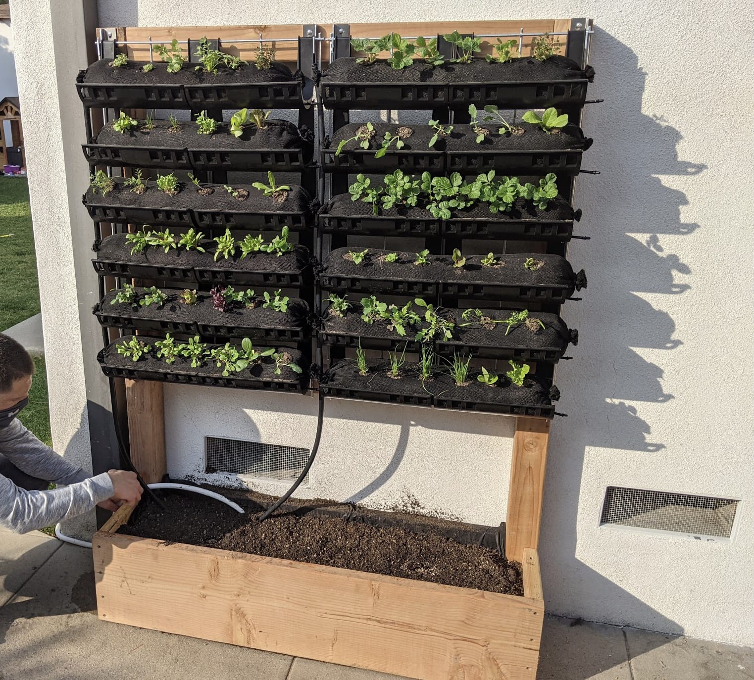 Vertical Garden mounted on raised bed planter