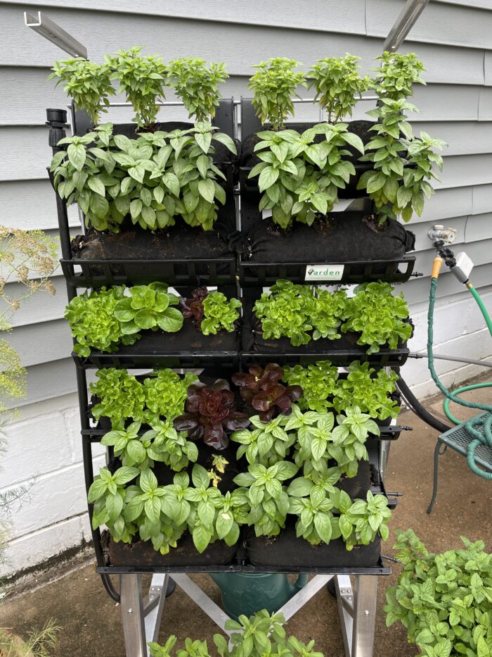 Vertical Garden Rack with plants