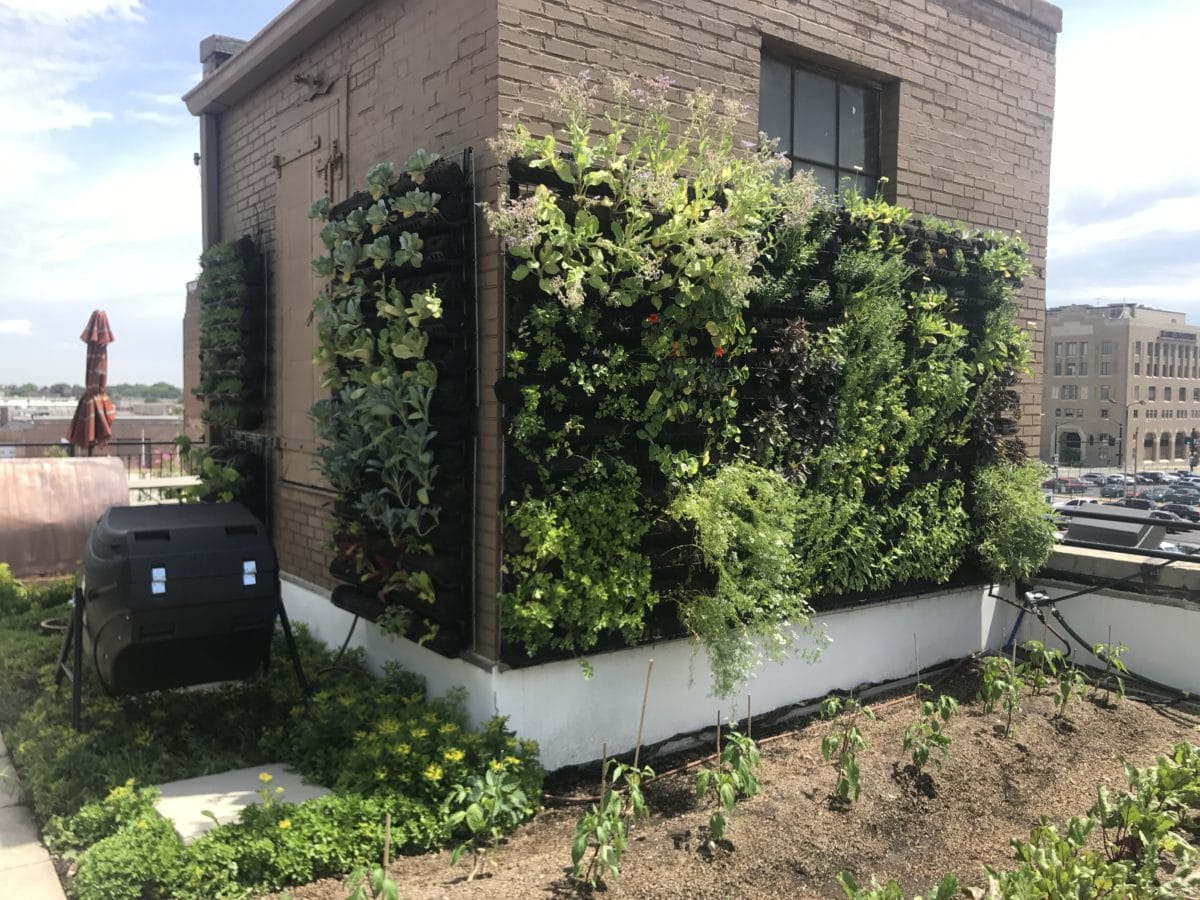 Curated visual reference: Vertical Garden Kits For Buildings Reference: Vertical Vs Raised Bed Gardening