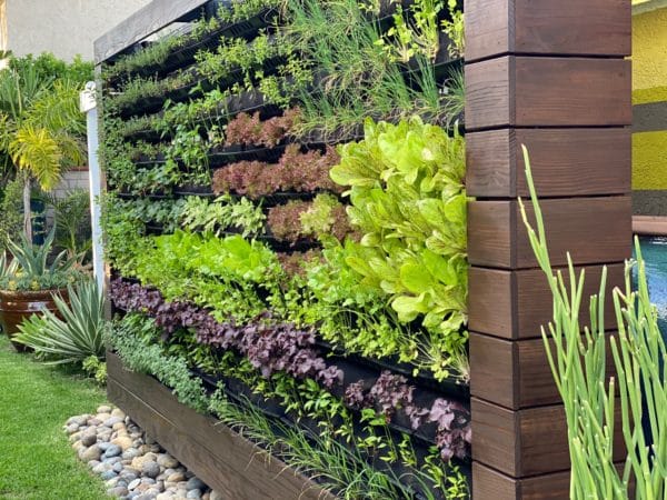 Large Vertical Garden with Trim large backyard vertical garden