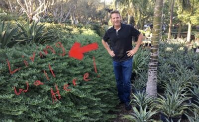 Retaining Wall Hidden behind vegetation
