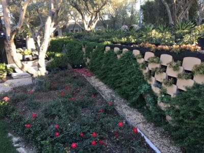 Planted Varden Living Retaining Wall