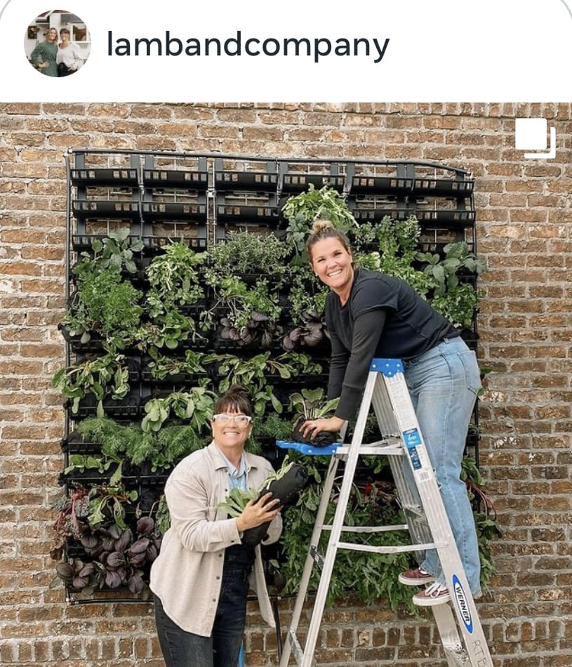 The Twins building a Varden vertical garden