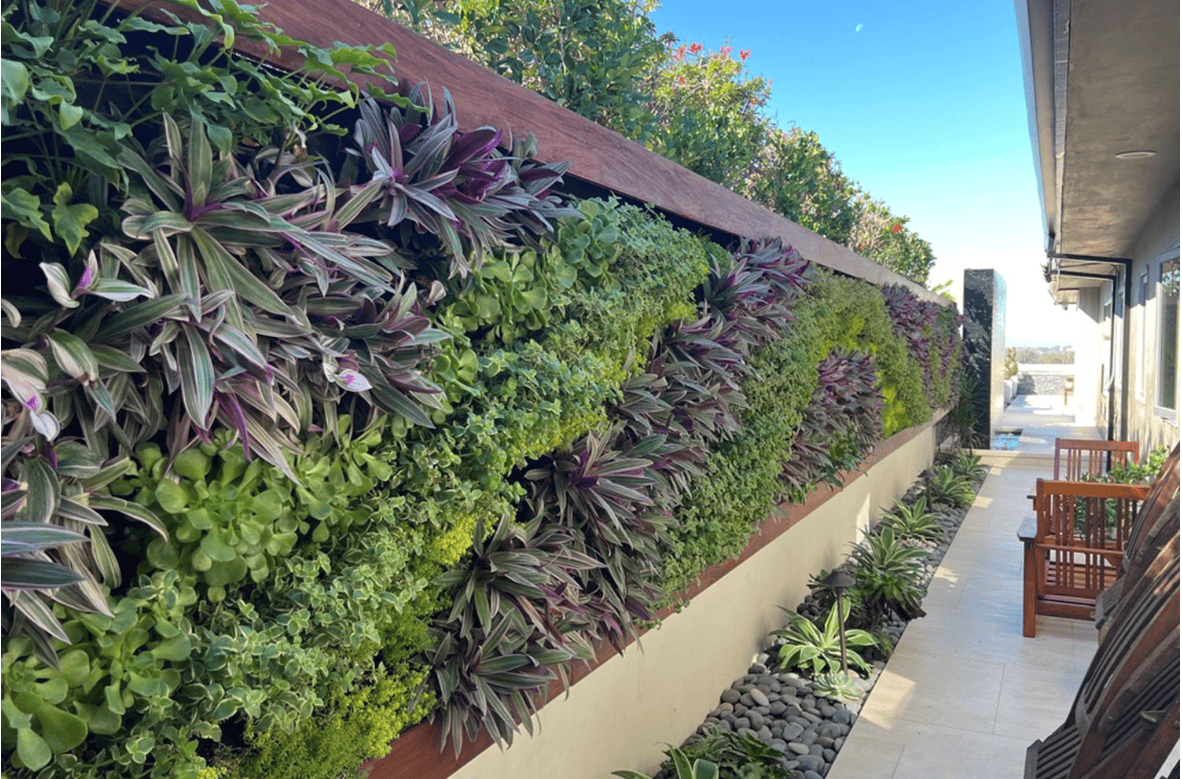 Residential Varden Living Wall as part of backyard landscape