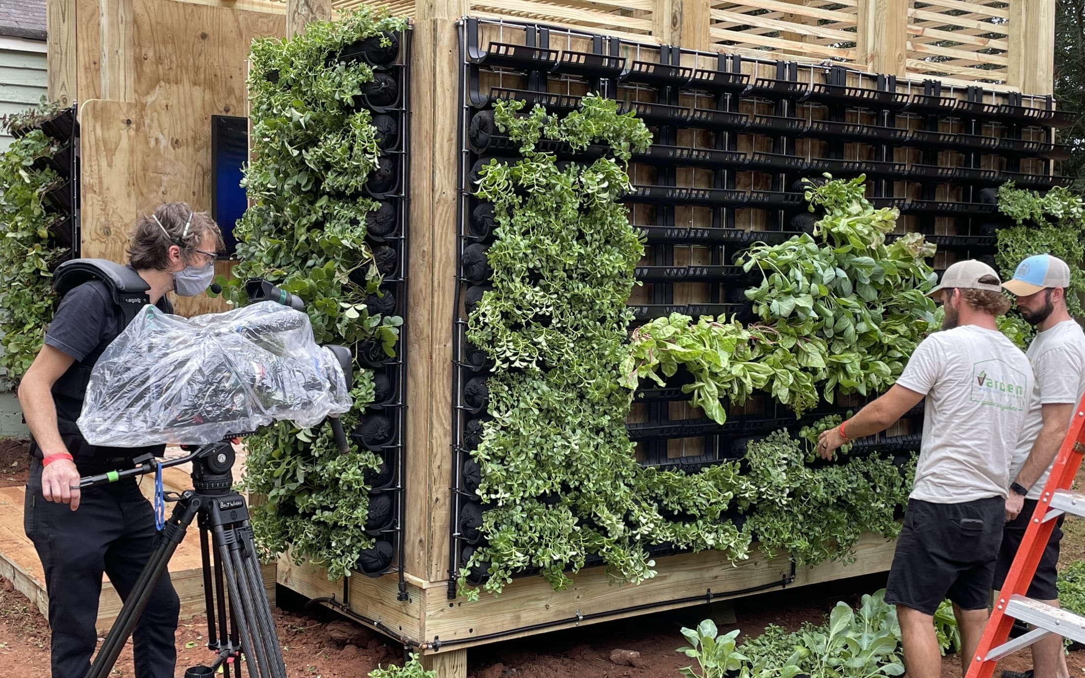 Vertical Garden installation being filmed
