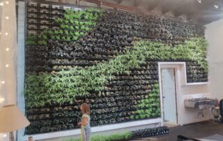 Indoor Varden Living Wall