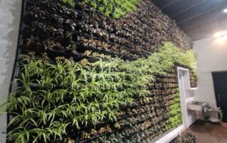 Large indoor Varden Living Wall