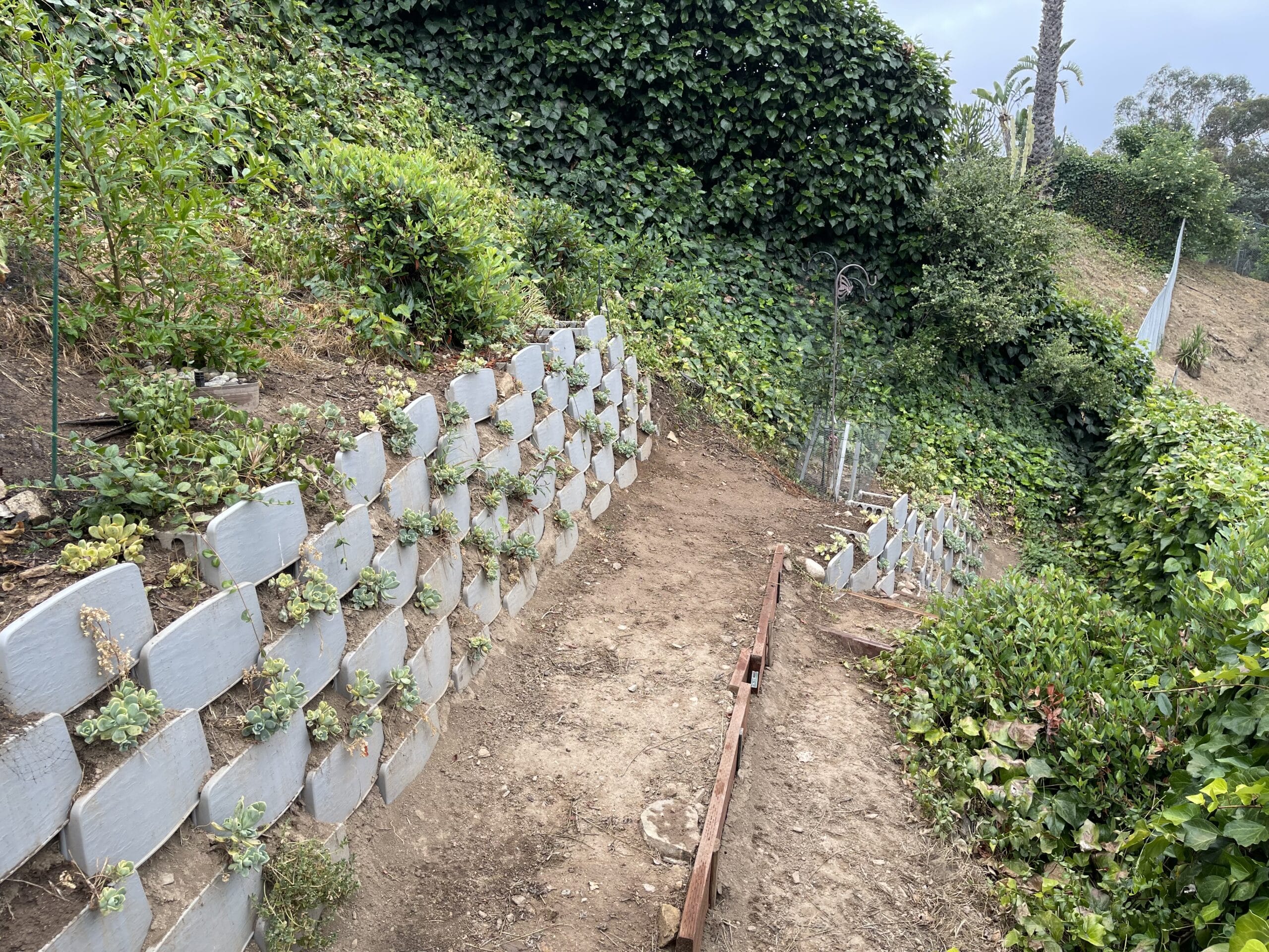 Side view of new living retaining wall after planting
