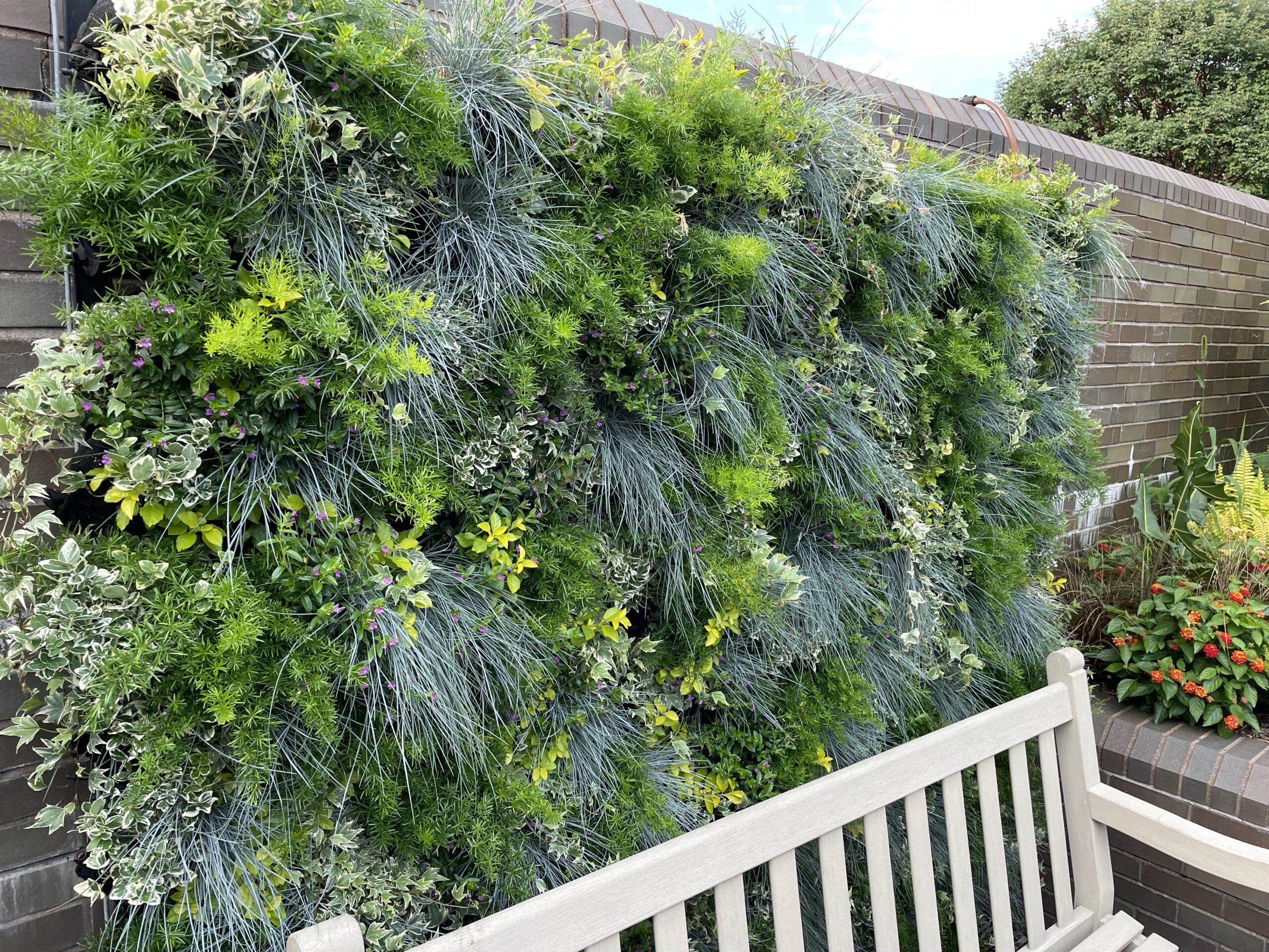 Exterior Varden living wall with thriving plants