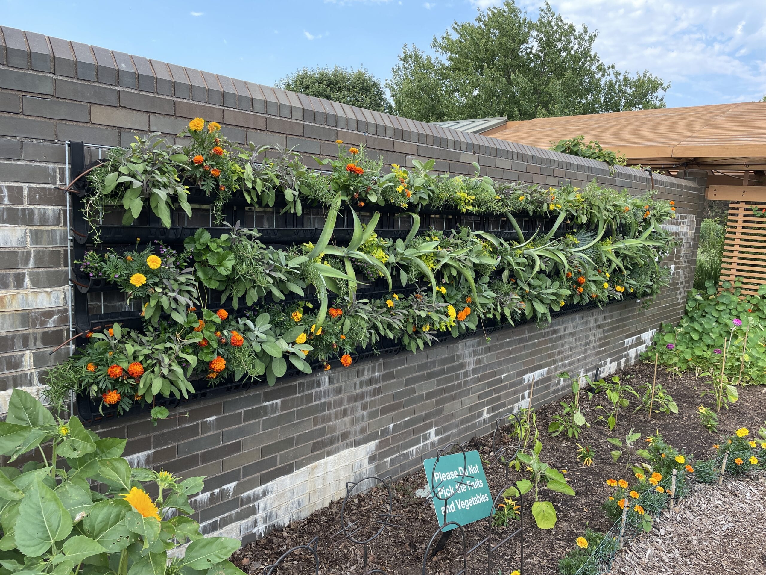 Vertical Garden mounted on a brick wall