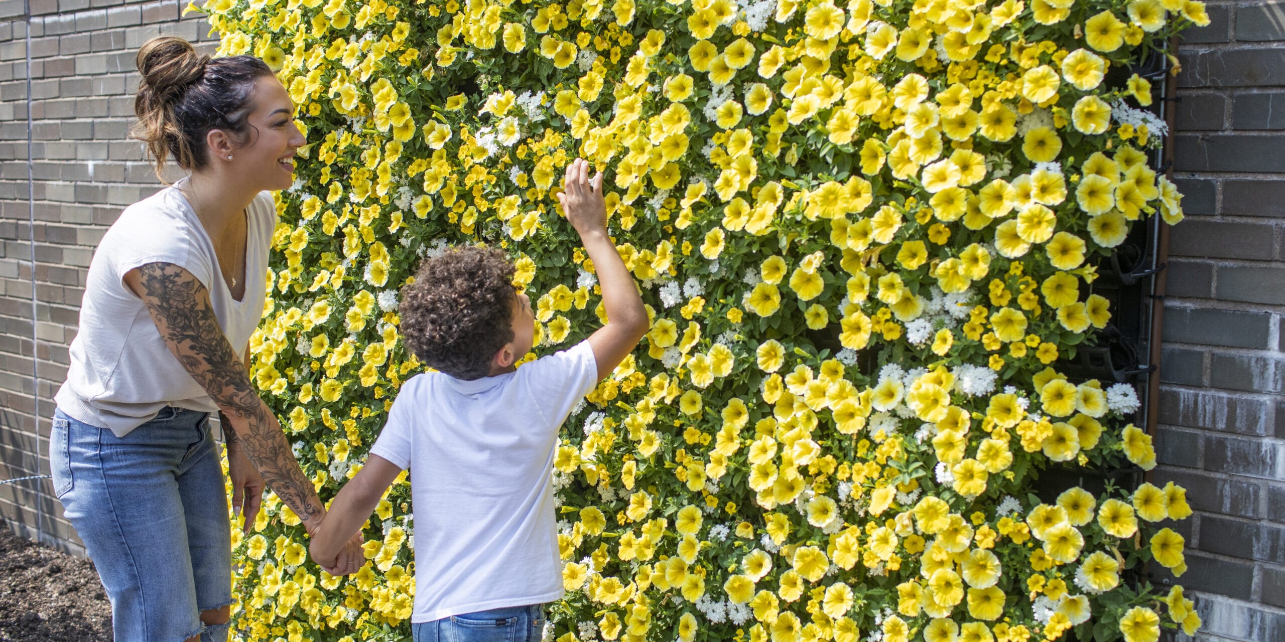 Varden Living Wall at Missouri Botanical Garden