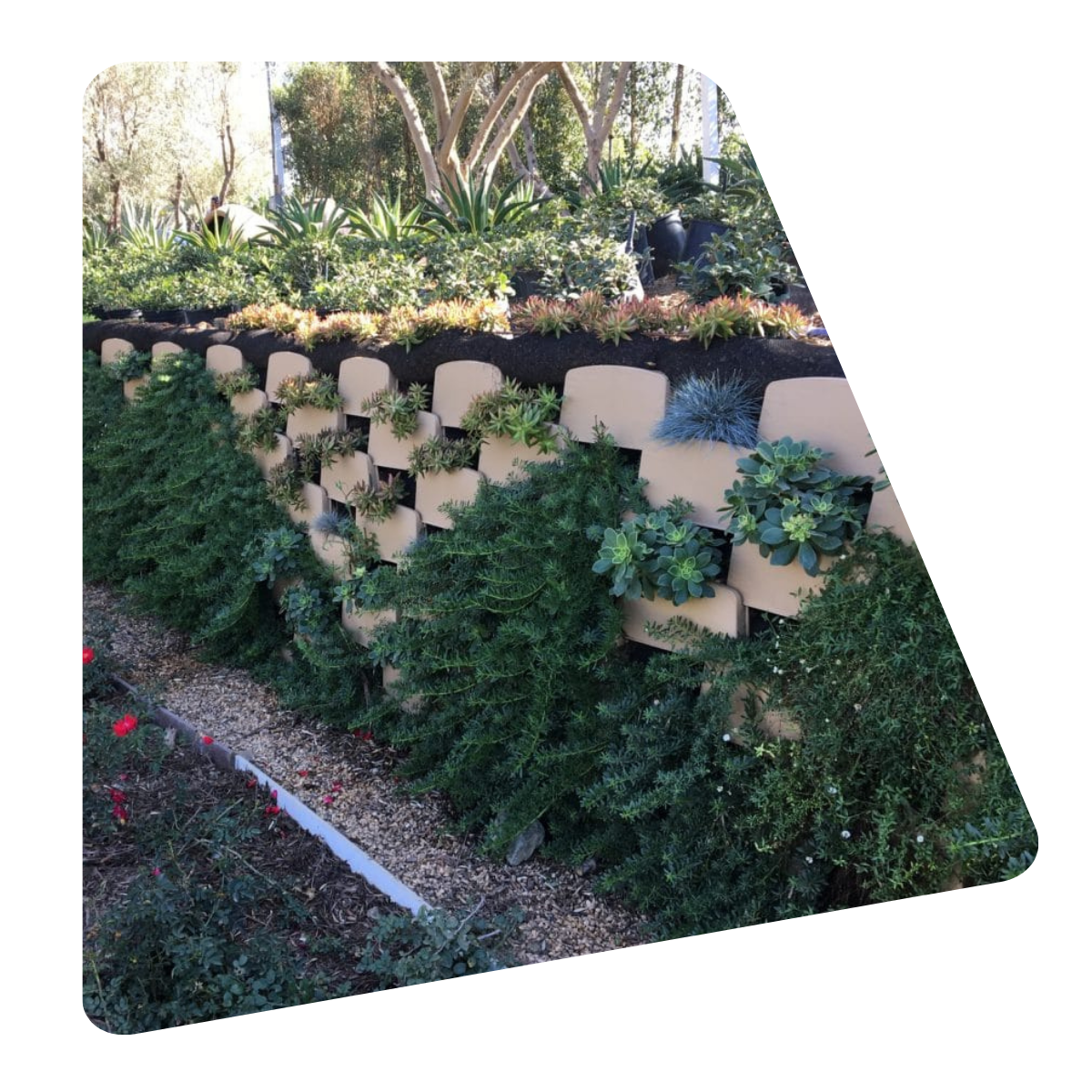 DIY herb garden