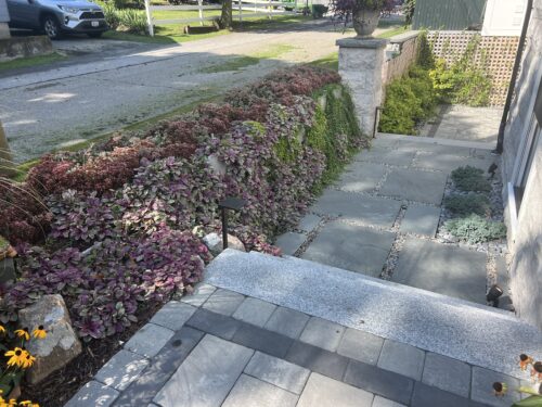 Living Retaining Wall with plant growth