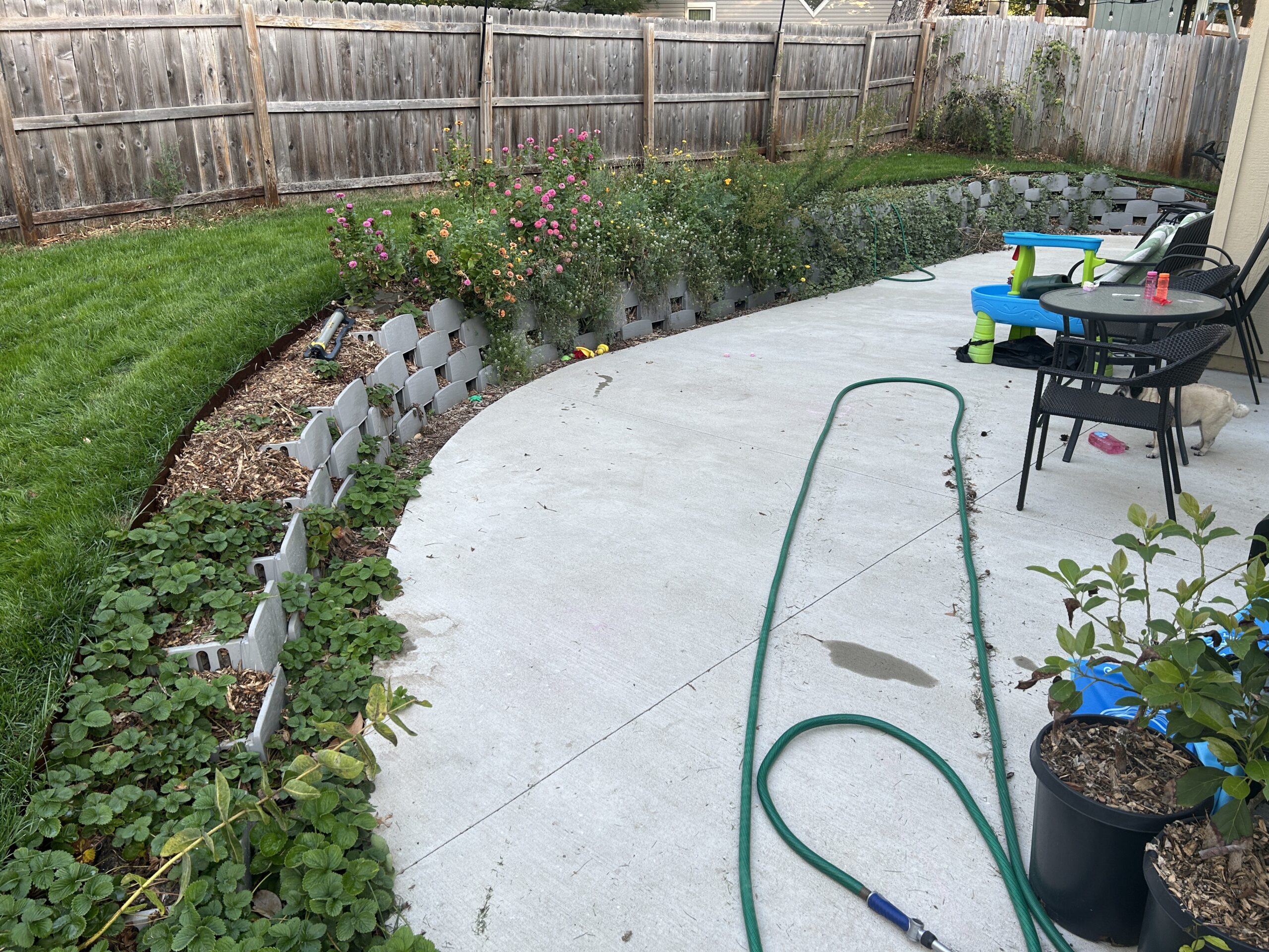 Installed Varden living retaining wall after planting with several species