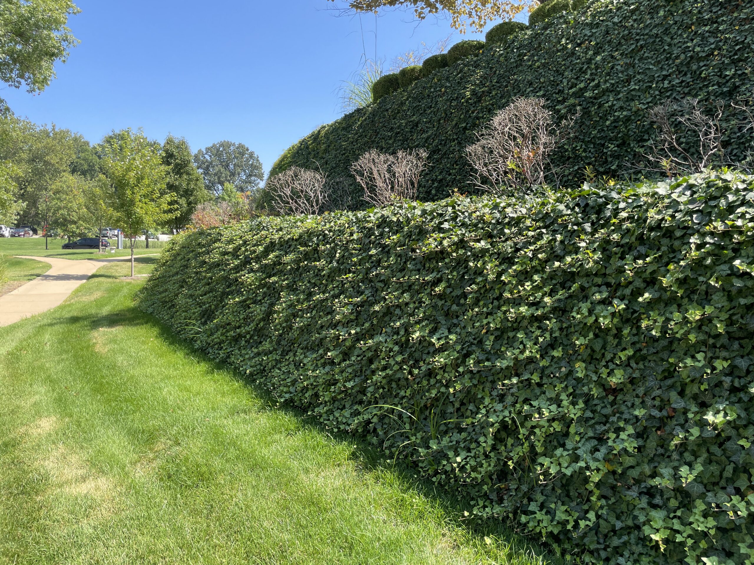 Plantable Retaining Walls