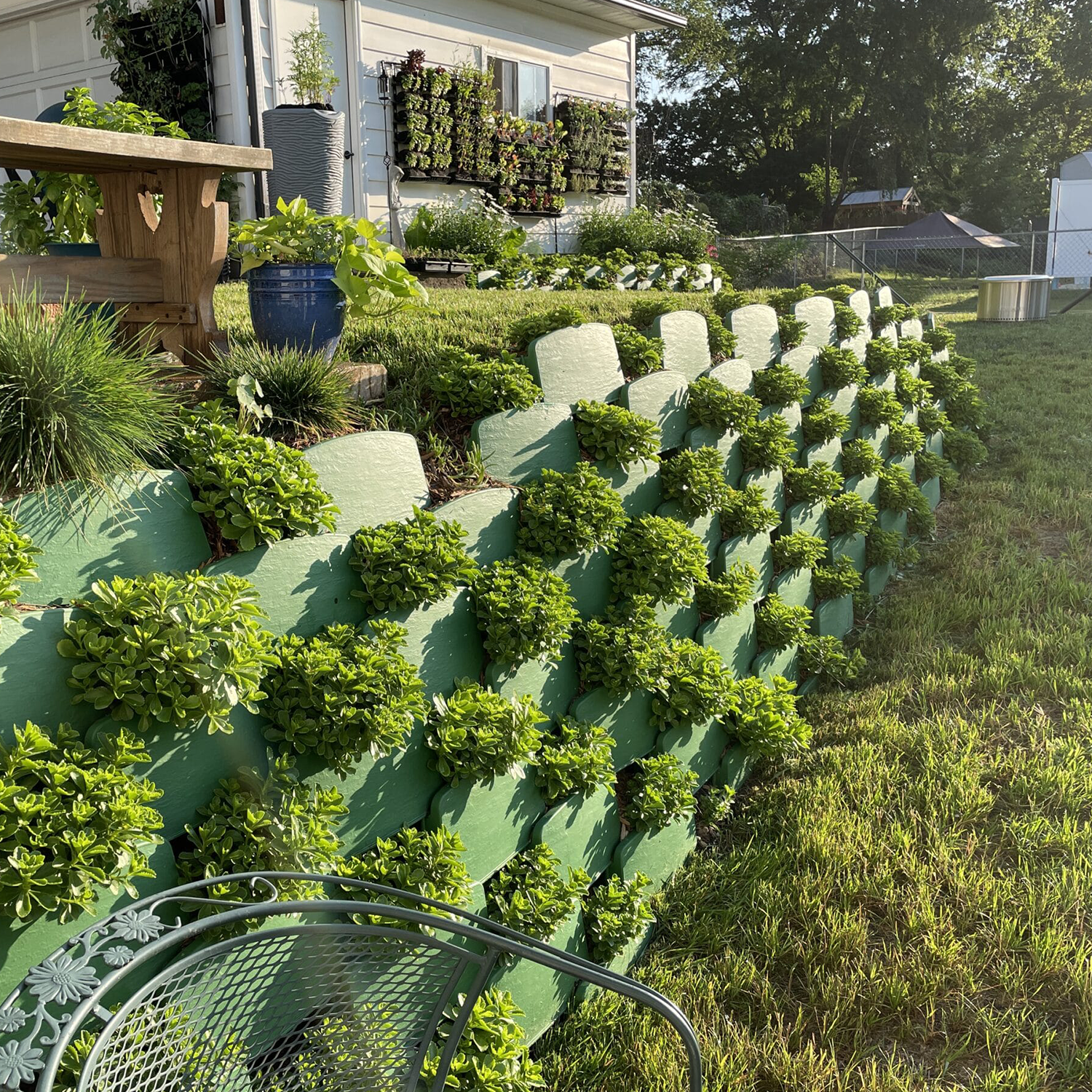 Varden living retaining wall planted with Sedum kamtschaticum