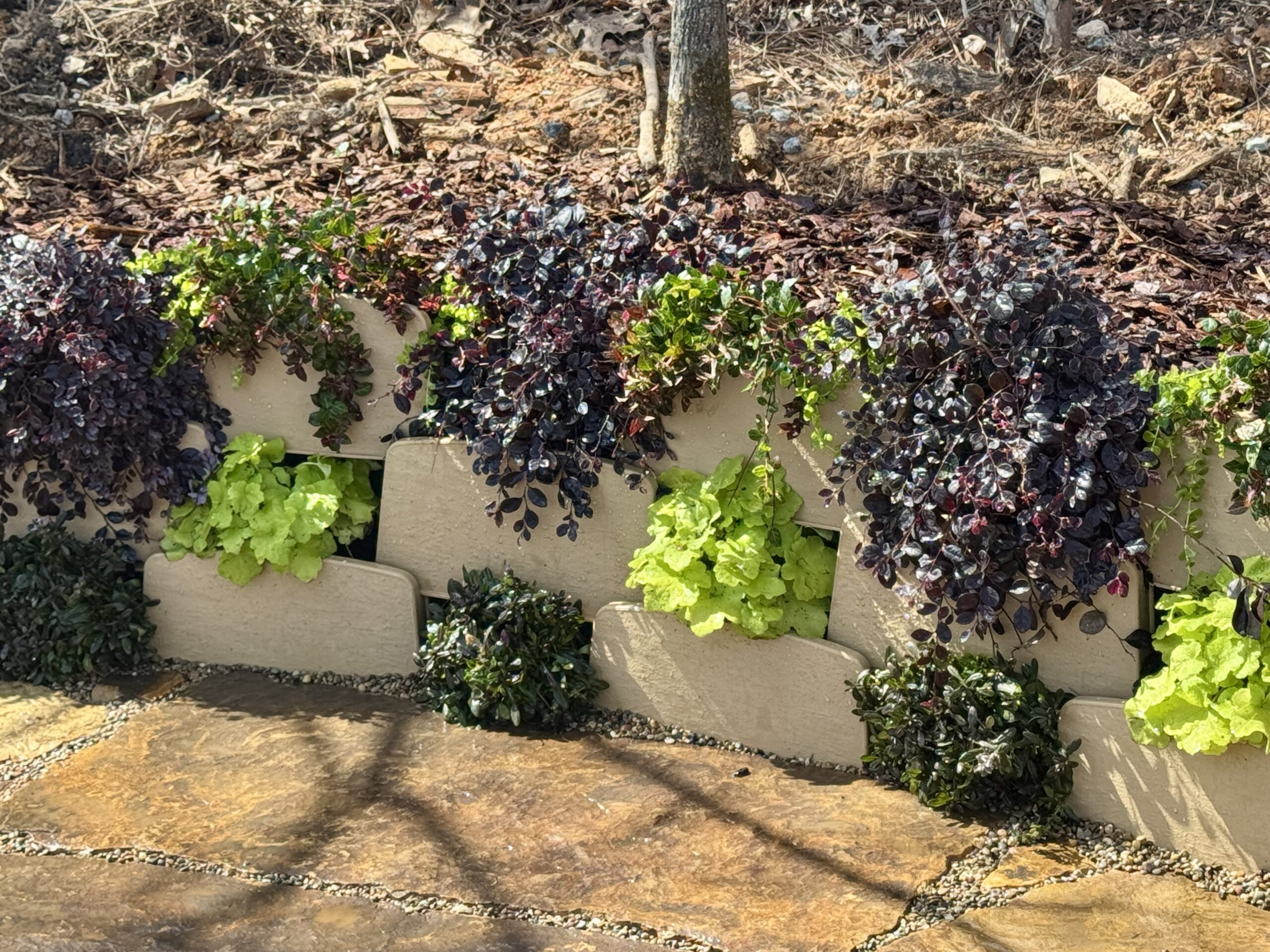 Varden patio wall nicely planted