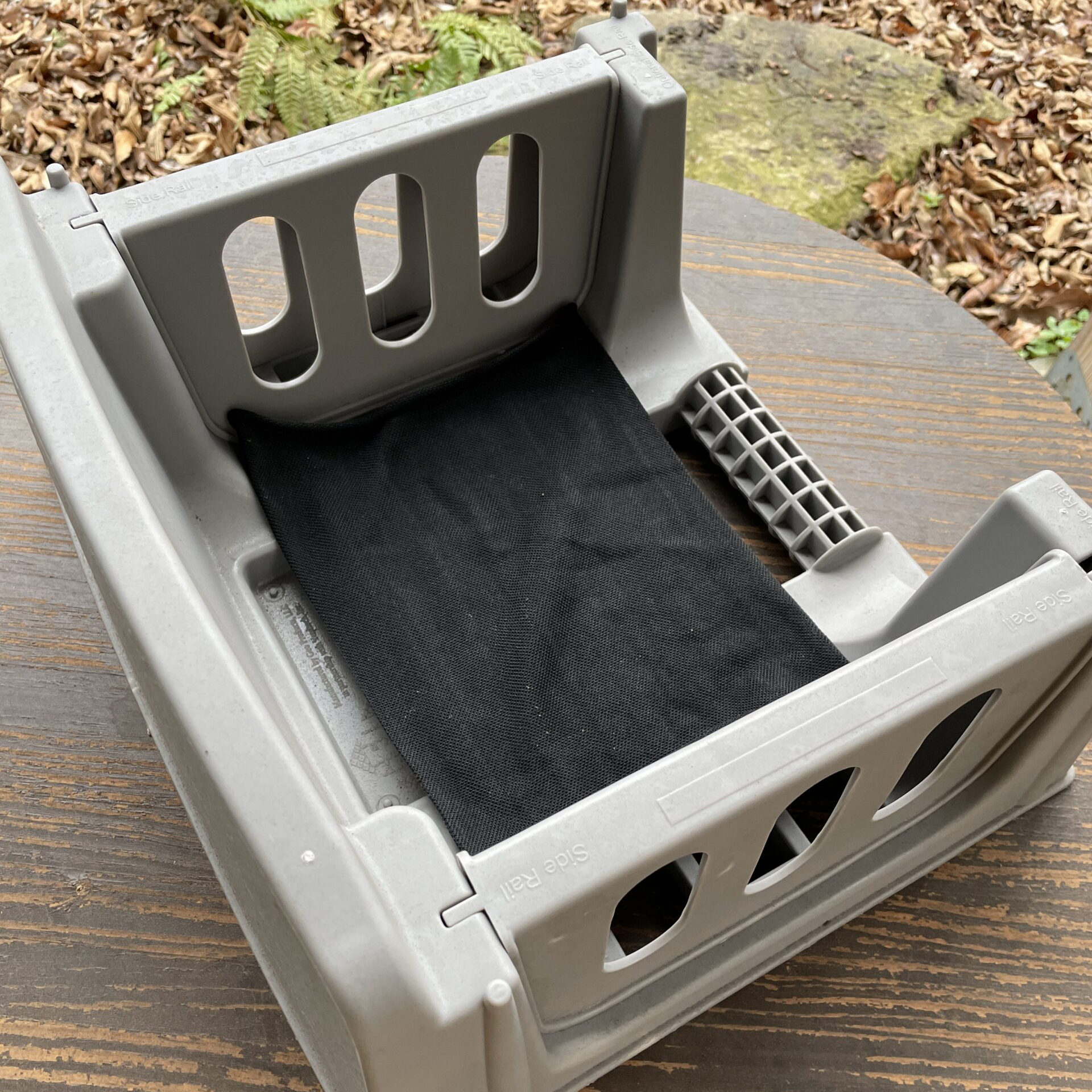 Sedum Plug Trays