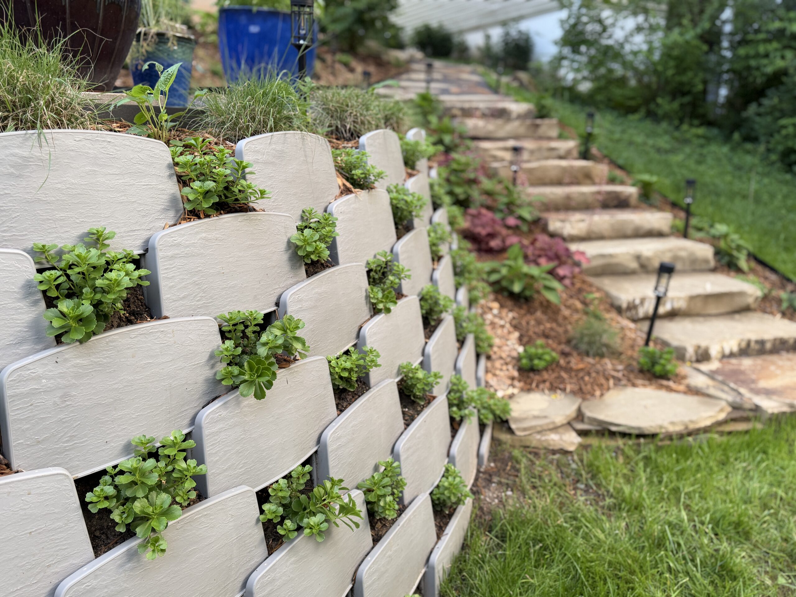 Plantable block retaining wall with radius and sedum plants