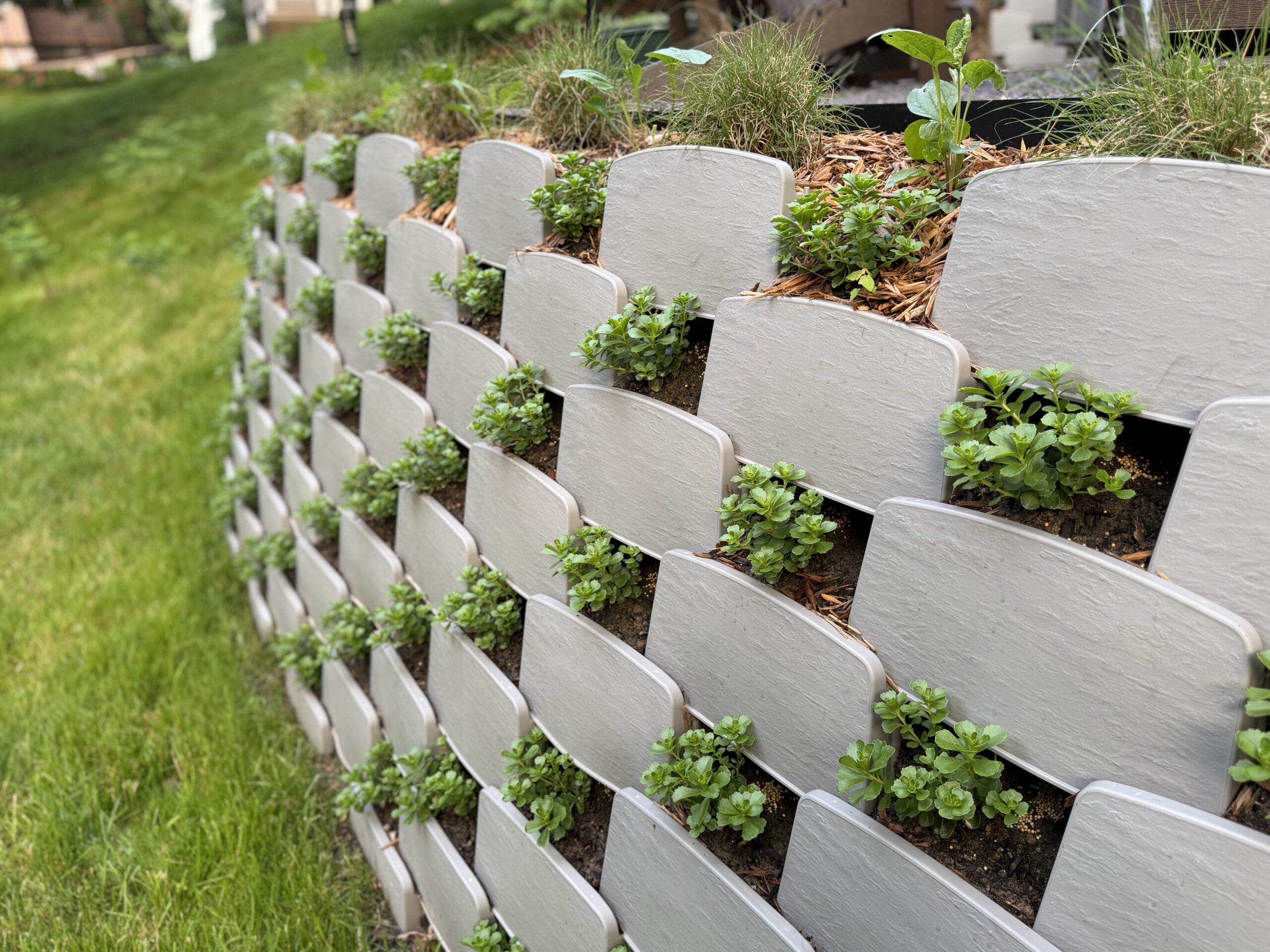 Varden plantable retaining wall blocks planted with sedum