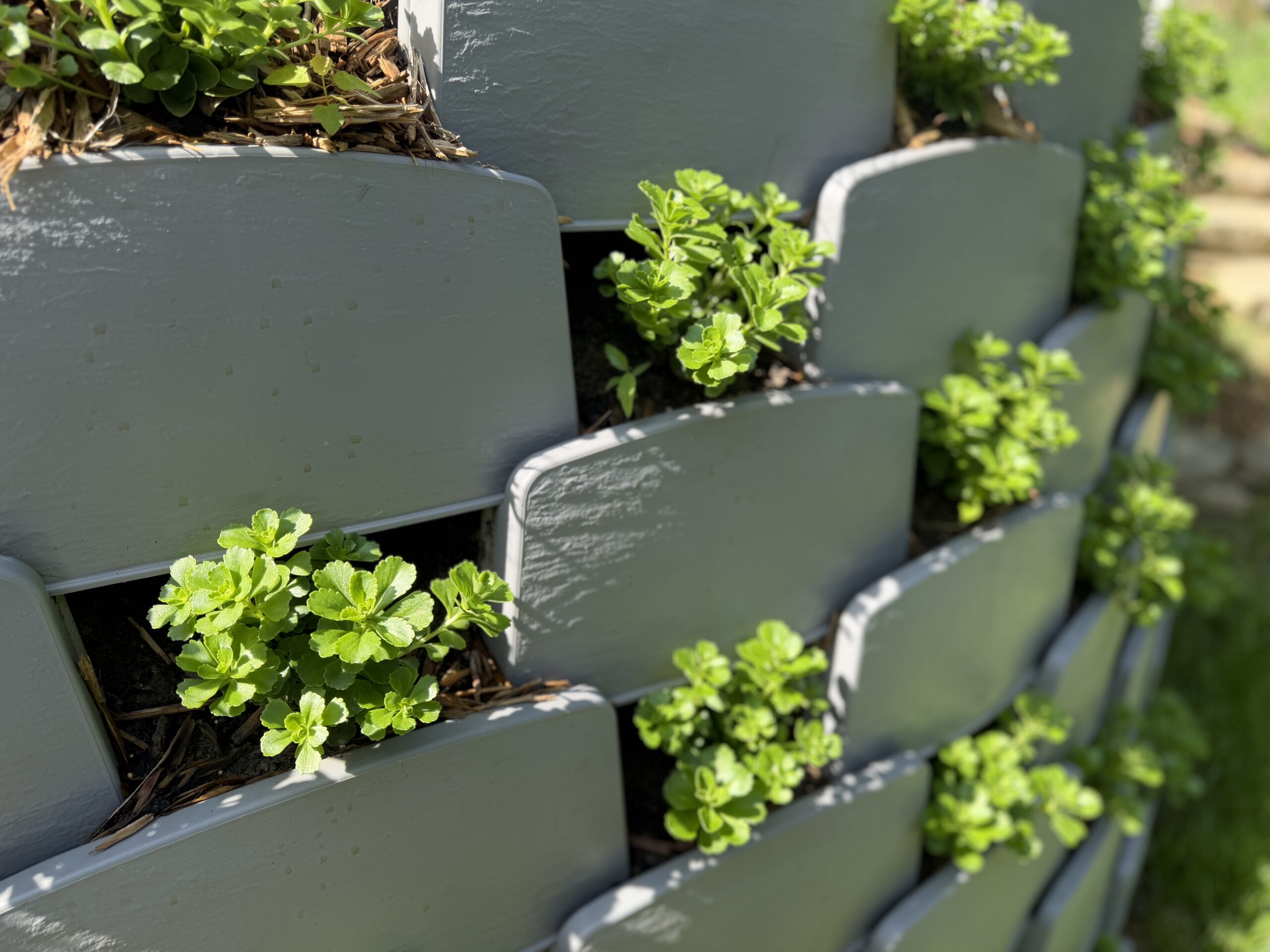 close up view of Varden planted retaining wall