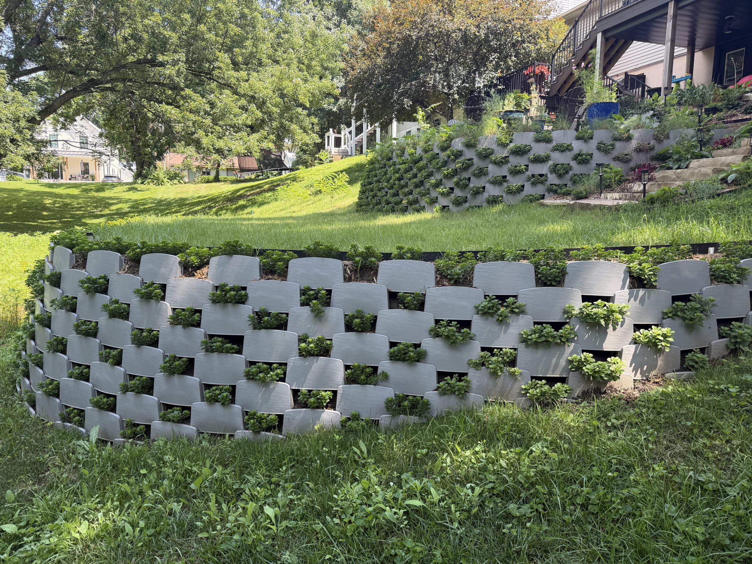 Varden terrace walls in mid-summer 2 months after planting