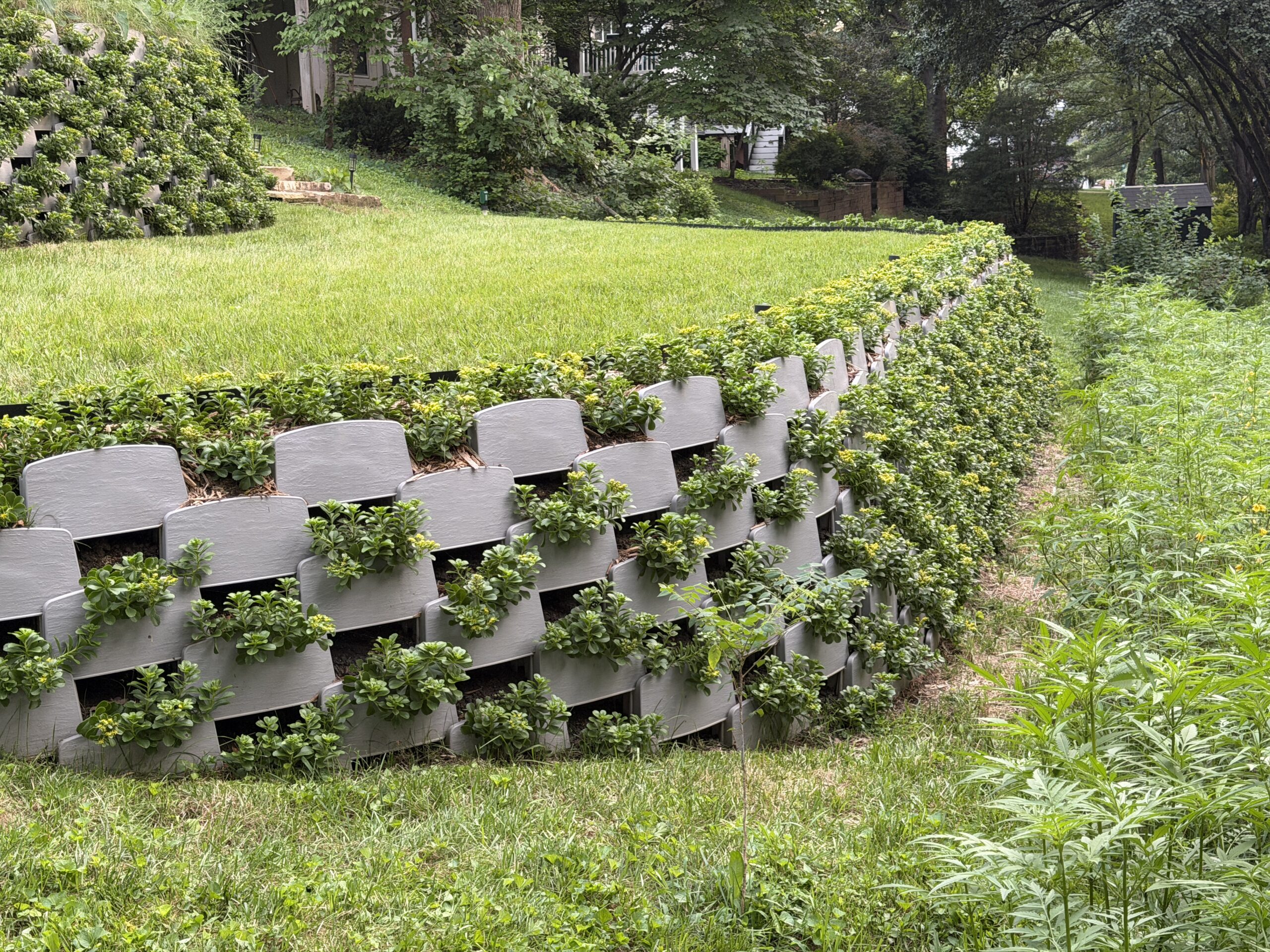 Terraced Varden plantable retaining walls with plants starting to cover the wall face